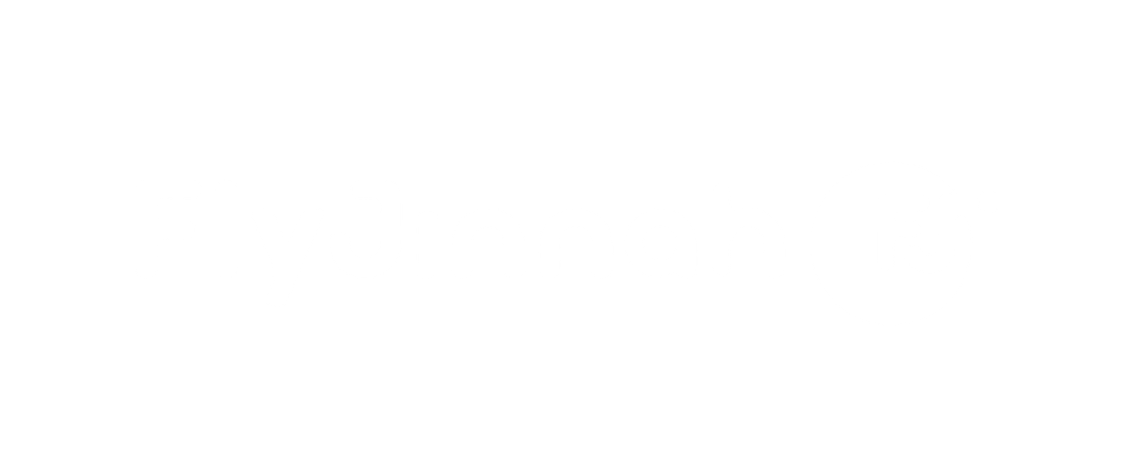 fly-jinnh